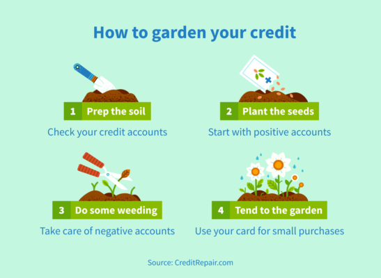 How to garden your credit