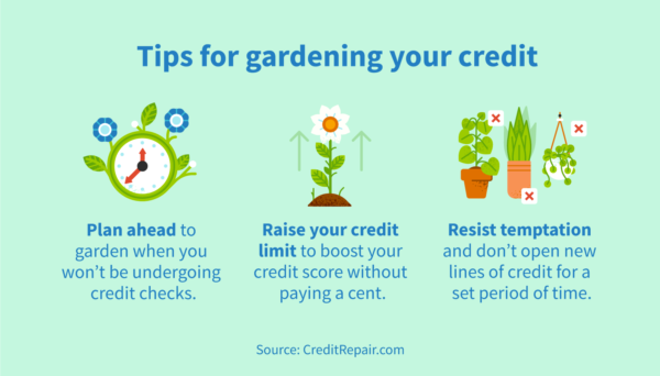 Tips for gardening your credit